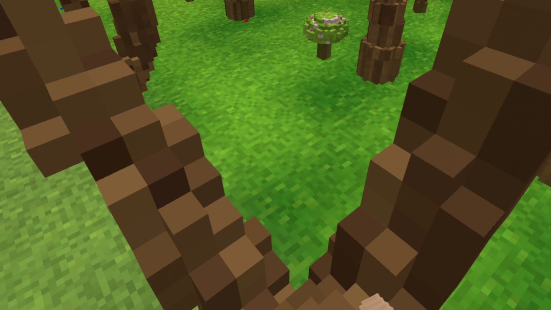 Looking straight down between two branches at the green meadow far below
