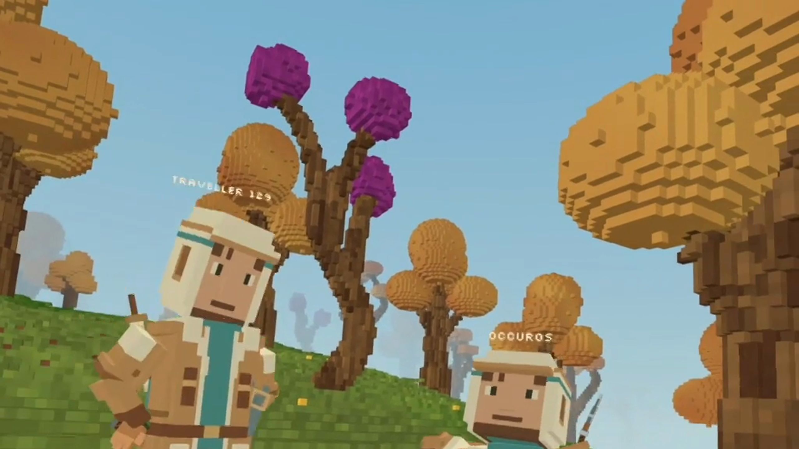 Two explorers under orange autumn trees and a plum-coloured tree