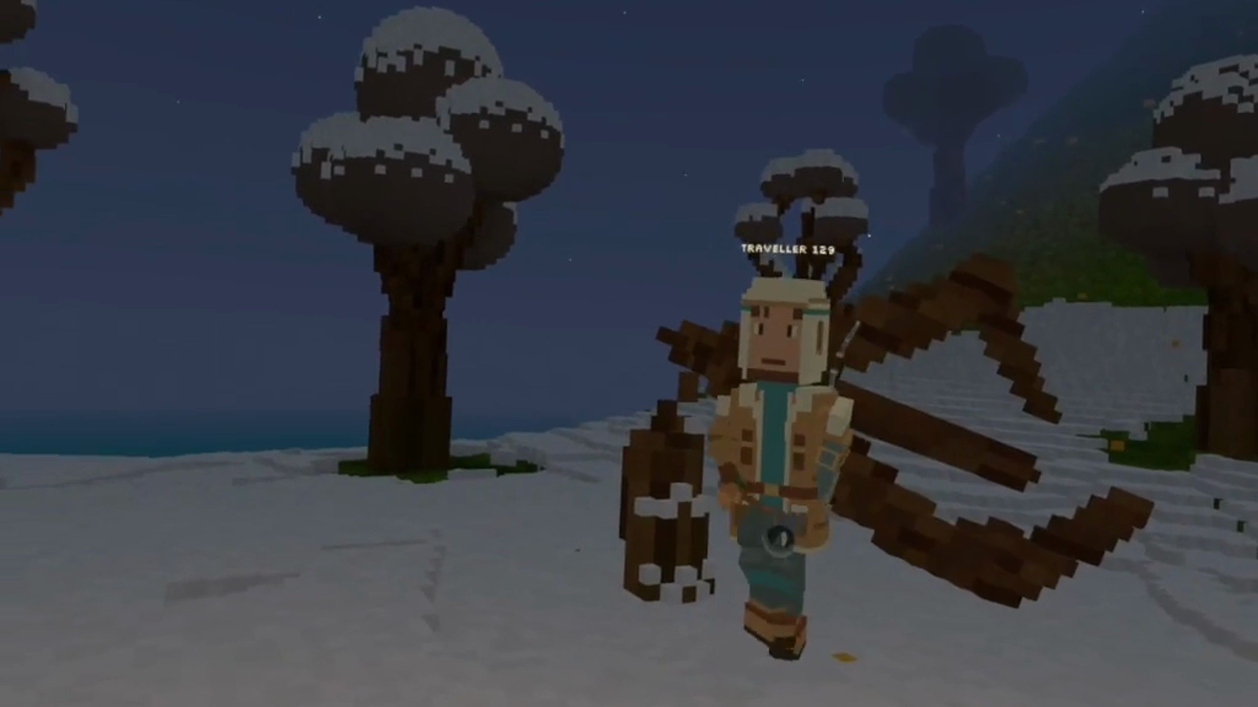 An explorer in the snow at night under snow-capped trees